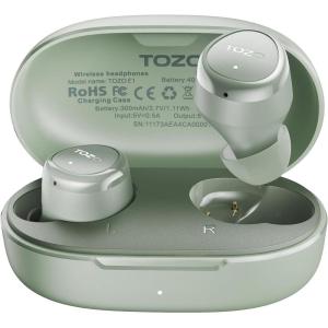 TOZO Wireless Earbuds Build in Mic Clear Calls Ergonomic Light Weight Bluetooth 5.3 in Ear Headphones Waterproof Premium Stereo Sound Ear Buds 30H Playtime with 32 EQs via APP(Light Green)